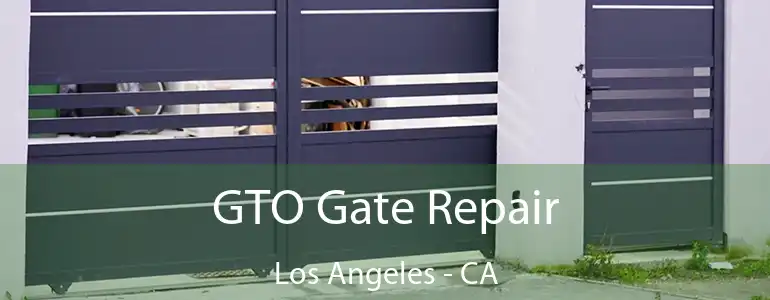  GTO Gate Repair Los Angeles - CA