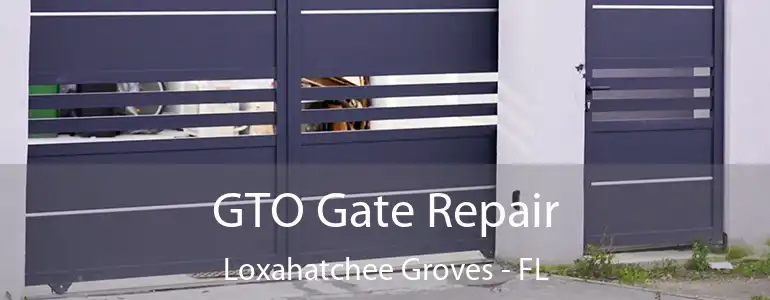  GTO Gate Repair Loxahatchee Groves - FL