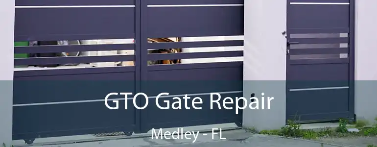  GTO Gate Repair Medley - FL