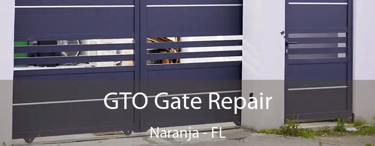  GTO Gate Repair Naranja - FL