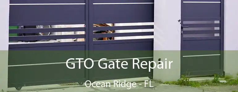  GTO Gate Repair Ocean Ridge - FL