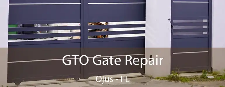  GTO Gate Repair Ojus - FL