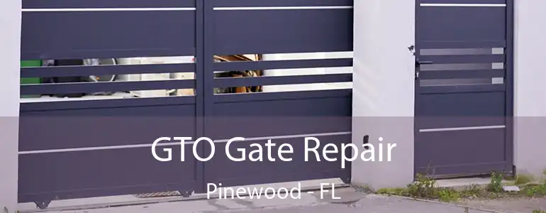  GTO Gate Repair Pinewood - FL
