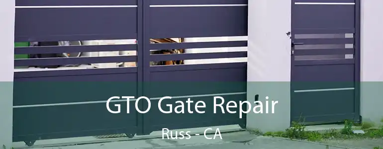  GTO Gate Repair Russ - CA