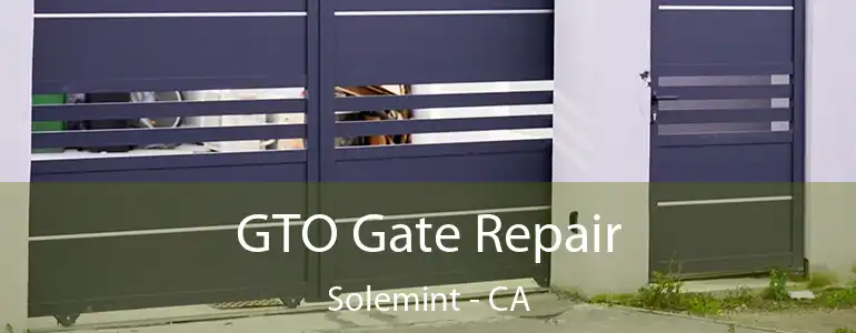  GTO Gate Repair Solemint - CA