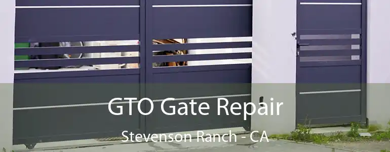  GTO Gate Repair Stevenson Ranch - CA