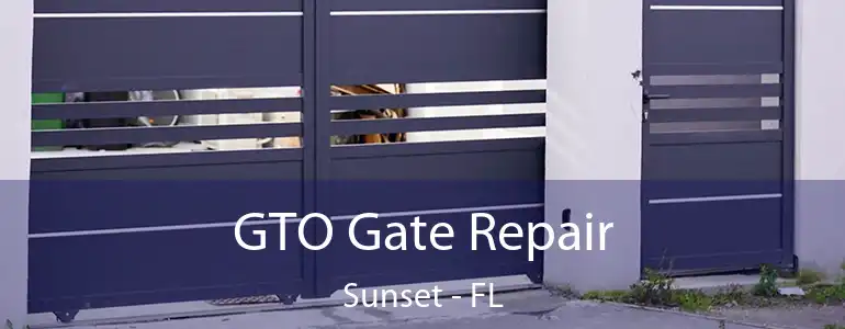  GTO Gate Repair Sunset - FL