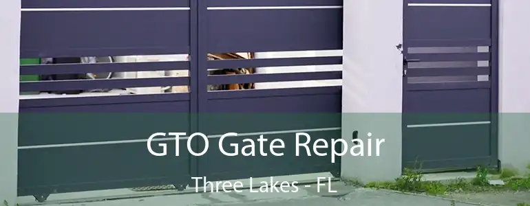  GTO Gate Repair Three Lakes - FL