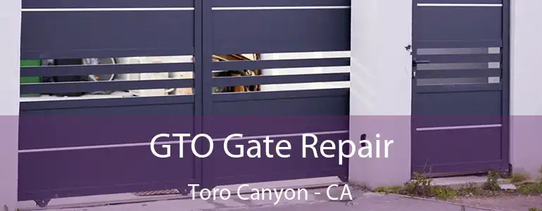  GTO Gate Repair Toro Canyon - CA