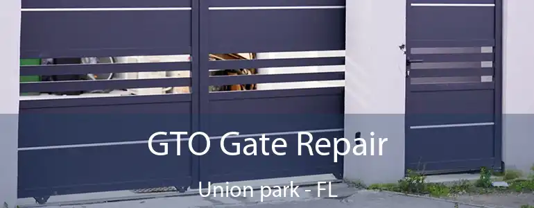  GTO Gate Repair Union park - FL