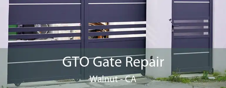  GTO Gate Repair Walnut - CA