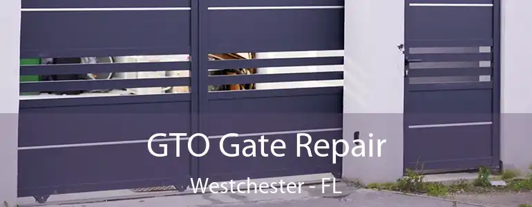  GTO Gate Repair Westchester - FL