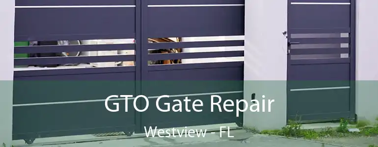  GTO Gate Repair Westview - FL