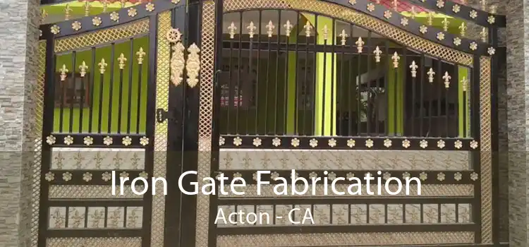 Iron Gate Fabrication Acton - CA