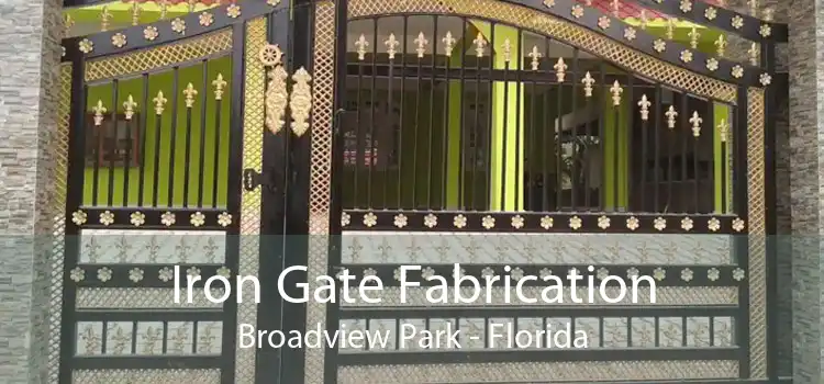 Iron Gate Fabrication Broadview Park - Florida