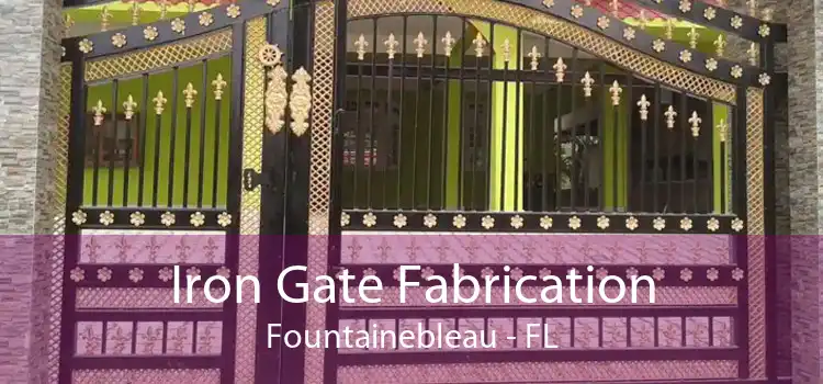 Iron Gate Fabrication Fountainebleau - FL