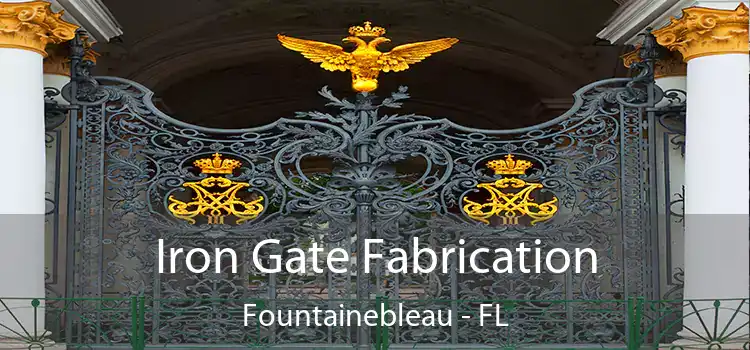 Iron Gate Fabrication Fountainebleau - FL
