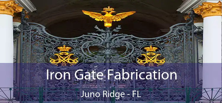  Iron Gate Fabrication Juno Ridge - FL