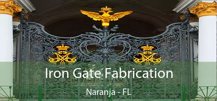 Iron Gate Fabrication Naranja - FL