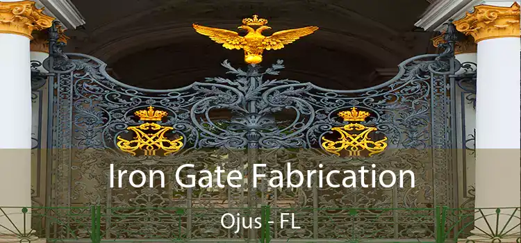 Iron Gate Fabrication Ojus - FL