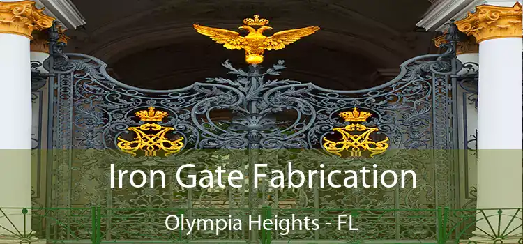 Iron Gate Fabrication Olympia Heights - FL