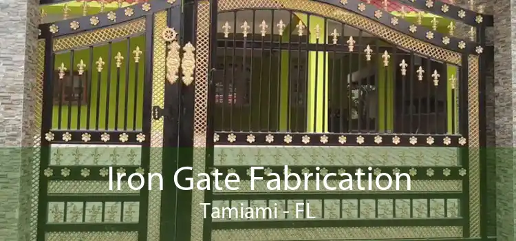 Iron Gate Fabrication Tamiami - FL