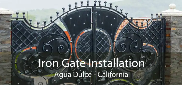 Iron Gate Installation Agua Dulce - California