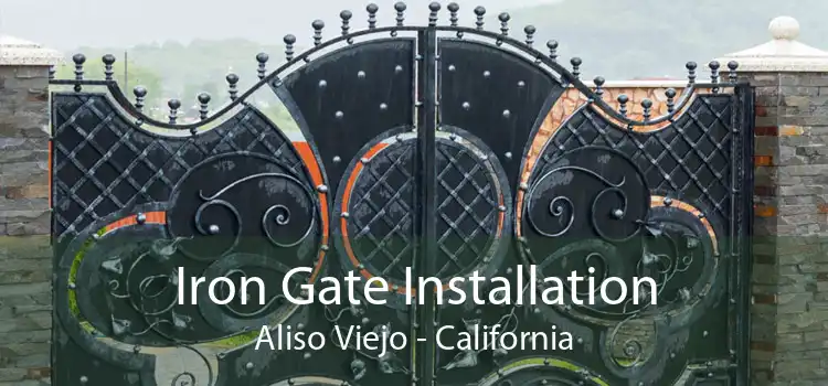 Iron Gate Installation Aliso Viejo - California