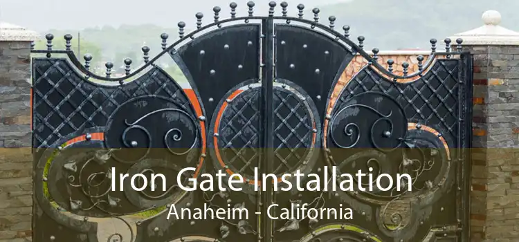 Iron Gate Installation Anaheim - California