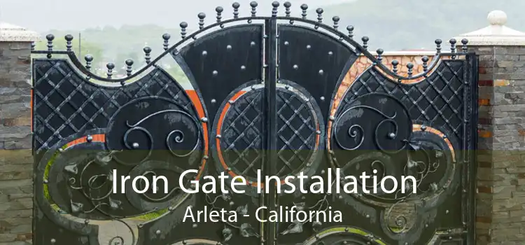 Iron Gate Installation Arleta - California