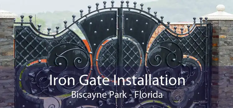 Iron Gate Installation Biscayne Park - Florida