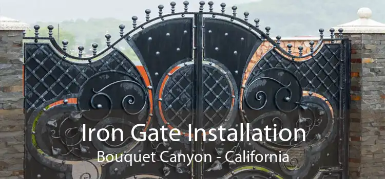 Iron Gate Installation Bouquet Canyon - California