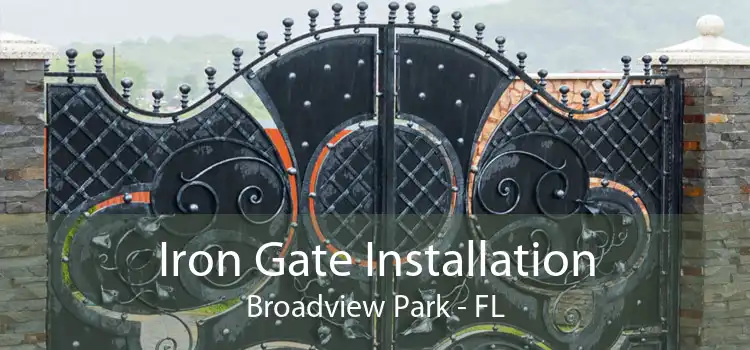 Iron Gate Installation Broadview Park - FL