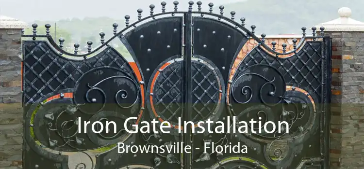 Iron Gate Installation Brownsville - Florida