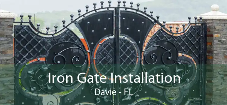 Iron Gate Installation Davie - FL