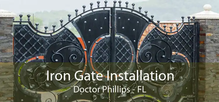 Iron Gate Installation Doctor Phillips - FL