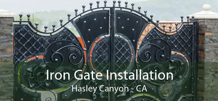 Iron Gate Installation Hasley Canyon - CA
