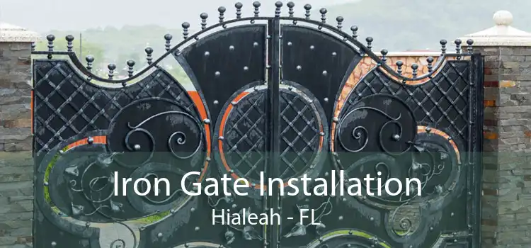 Iron Gate Installation Hialeah - FL
