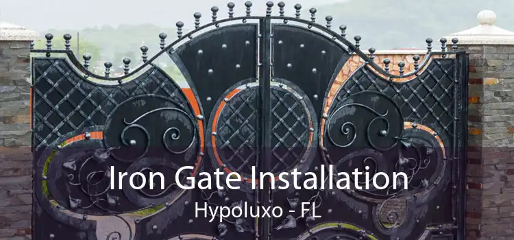 Iron Gate Installation Hypoluxo - FL