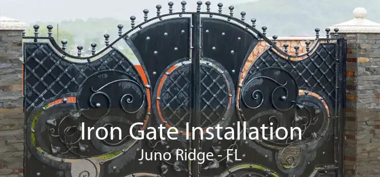 Iron Gate Installation Juno Ridge - FL