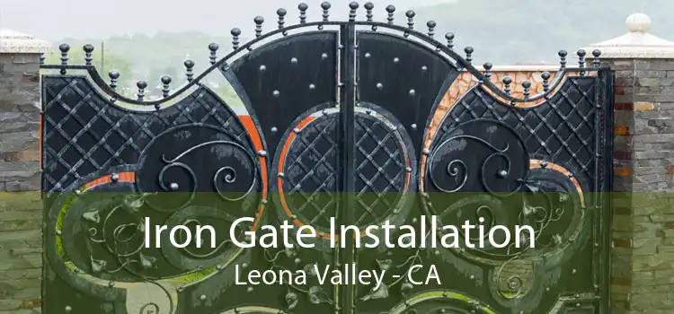 Iron Gate Installation Leona Valley - CA