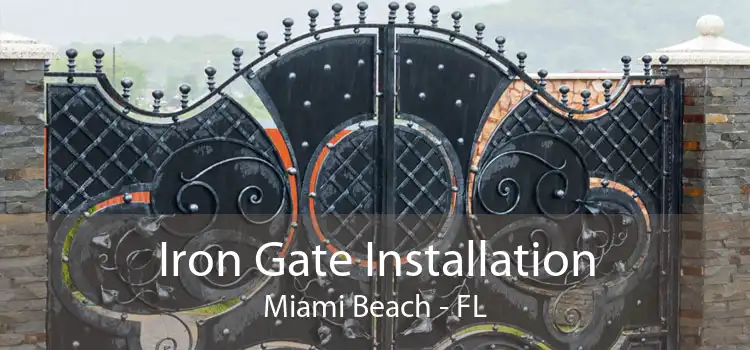 Iron Gate Installation Miami Beach - FL