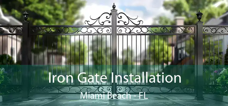 Iron Gate Installation Miami Beach - FL
