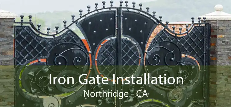 Iron Gate Installation Northridge - CA
