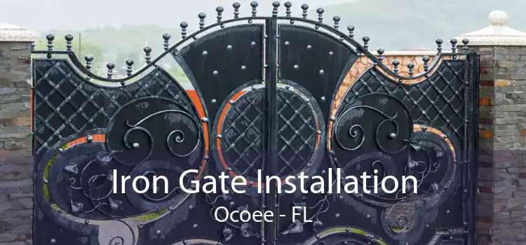 Iron Gate Installation Ocoee - FL