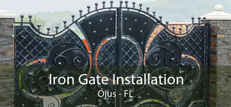 Iron Gate Installation Ojus - FL