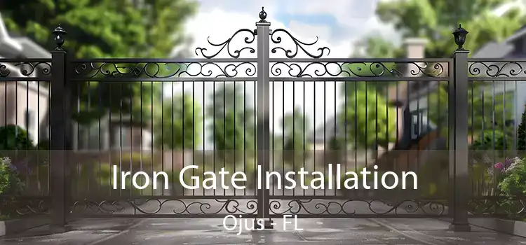 Iron Gate Installation Ojus - FL