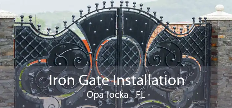 Iron Gate Installation Opa-locka - FL