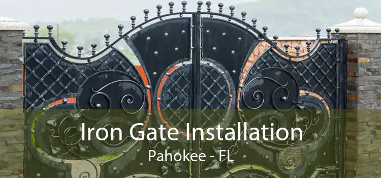 Iron Gate Installation Pahokee - FL