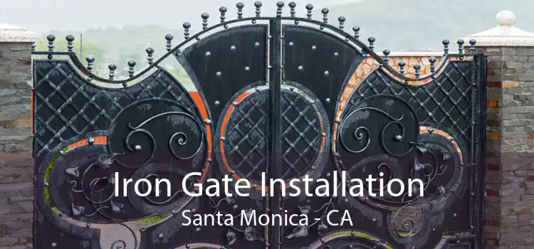 Iron Gate Installation Santa Monica - CA